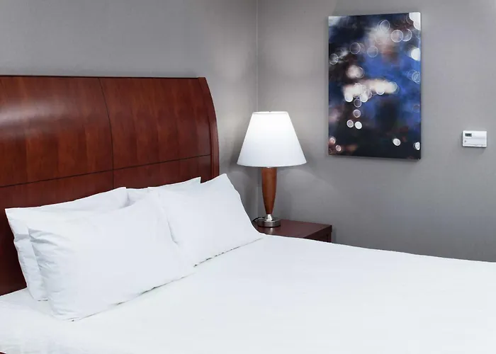 Hotel Hilton Garden Naperville/warrenville 3*